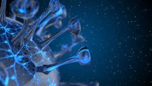 CRIMINAL LAWYERS IN CHARLOTTE NC