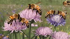 DUI-LAWYERS-IN-MECKLENBURG-COUNTY-NORTH-CAROLINA