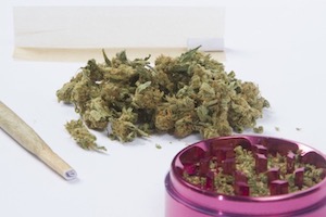 90-113.22A - Possession of Marijuana Drug Paraphernalia