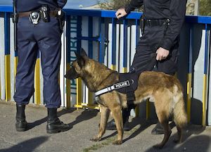 Felony Drug Crimes: Common Terms