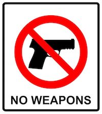 Willfully Discharging a Firearm on Educational Property