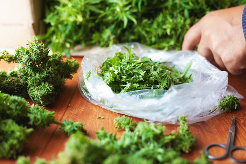 Felony Drug Crimes Common Terms Charlotte Criminal Lawyers Powers