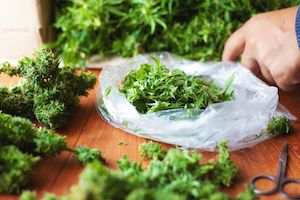 Felony Drug Crimes: Common Terms