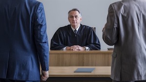 Frequently Asked Questions About Limited Driving Privileges