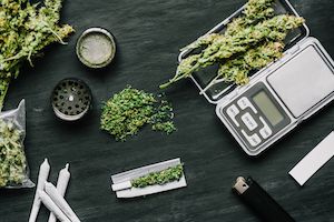 What are Controlled Substances?